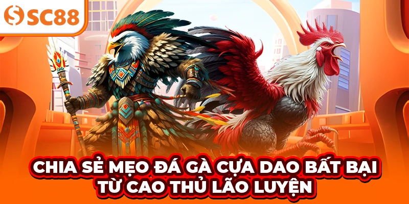 Chia sẻ mẹo đá gà cựa dao bất bại từ cao thủ lão luyện