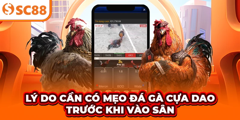 Lý do cần có mẹo đá gà cựa dao trước khi vào sân