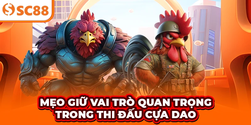Mẹo giữ vai trò quan trọng trong thi đấu cựa dao