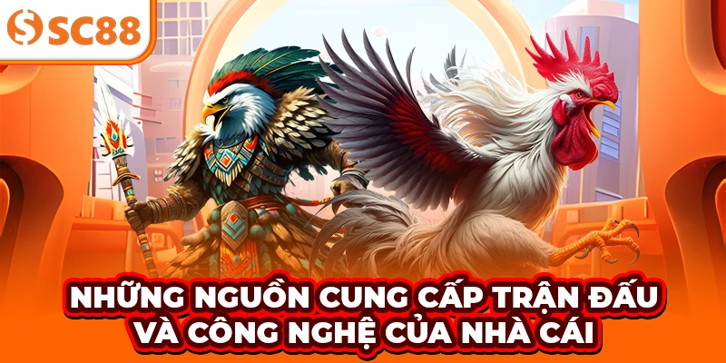 Những nguồn cung cấp trận đấu và công nghệ của nhà cái