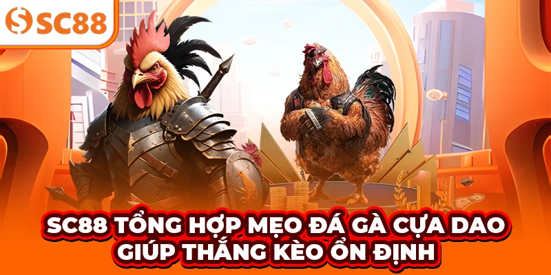 SC88 Tổng Hợp Mẹo Đá Gà Cựa Dao Giúp Thắng Kèo Ổn Định
