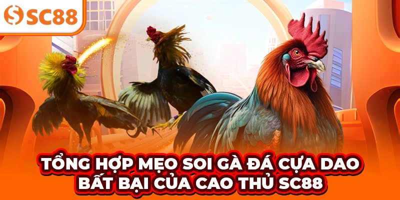 Tổng hợp mẹo soi gà đá cựa dao bất bại của cao thủ SC88