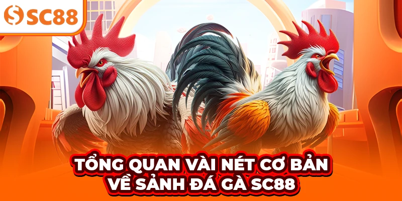 Tổng quan vài nét cơ bản về sảnh đá gà SC88
